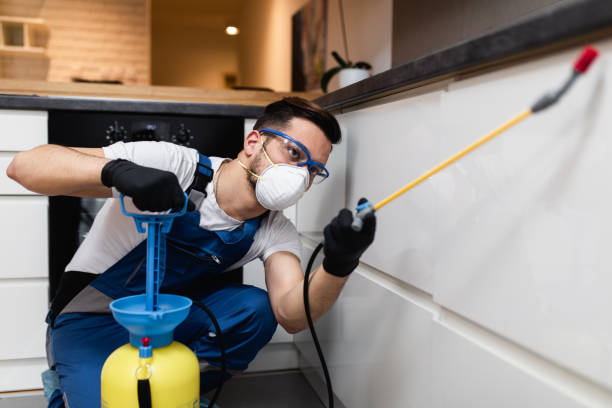 Best Residential Pest Control  in Boulder, MT