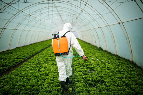 Best Pest Inspection Near Me  in Boulder, MT