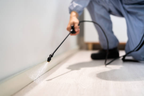 Pest Control for Restaurants in Boulder, MT