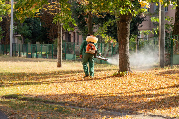 Best Pest Prevention Services  in Boulder, MT