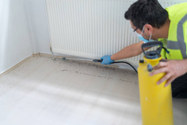 Best Pest Removal Services  in Boulder, MT