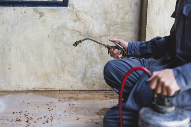 Best Pest Control for Businesses  in Boulder, MT
