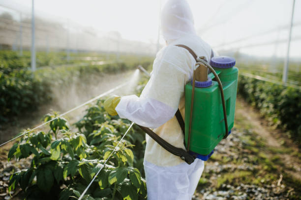 Pest Prevention Services in Boulder, MT